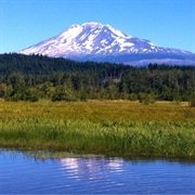 Trout Lake, Washington