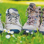 Getting Sent to Bootcamp