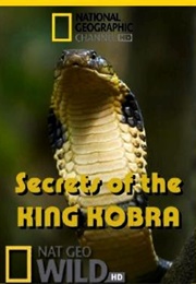 Secrets of the King Cobra (2010)