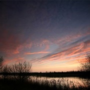 Fen Drayton Lakes