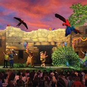 UP! a Great Bird Adventure