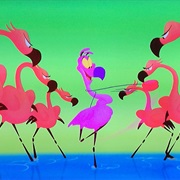 Yo-Yo Flamingoes