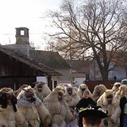 Busó Festivities at Mohács, Hungary
