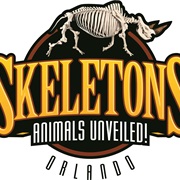 SKELETONS: Animals Unveiled