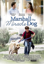 Marshall the Miracle Dog (2015)