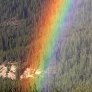 See a Rainbow