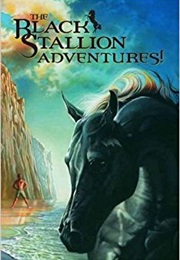 Black Stallion Adventure Set (Walter Farley)