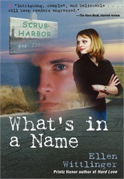 What's in a Name (Ellen Wittlinger)