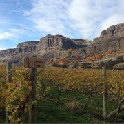 Cascade Cliffs Vineyard & Winery (Lyle, Washington)