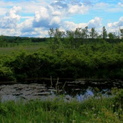 Great Swamp National Wildlife Refuge