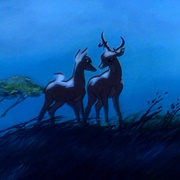 Looking for Romance (I Bring You a Song)