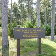 Sand Dunes State Forest, Minnesota