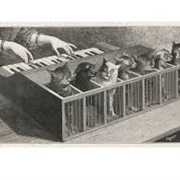 The Katzenklavier Was a Musical Instrument Made Out of Cats.