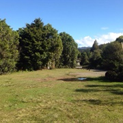 Totara Flat -