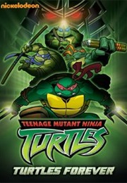 Teenage Mutant Ninja Turtles (2004)