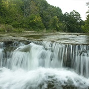 Des Plaines State Fish and Wildlife Area, Illinois
