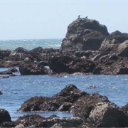 McVay Rock State Recreation Site, Oregon