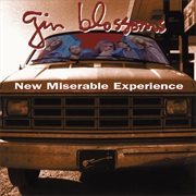 Gin Blossoms - New Miserable Experience