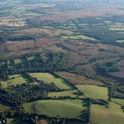 Aylesbeare Common