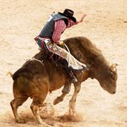 Ride a Bull