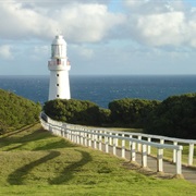 Cape Otway Vic