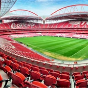 Watch a Football Match at Estádio Da Luz