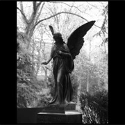 Nosferatu- Torturous