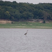 Saylorville Lake, Iowa
