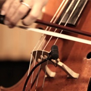 Learnt to Play Cello