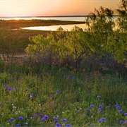 Choke Canyon State Park, Texas