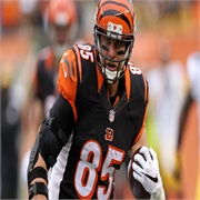 Tyler Eifert