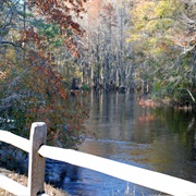 Lumber River State Park, North Carolina