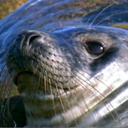 West Estonian Archipelago Estonia