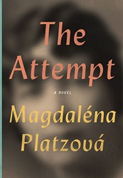 The Attempt (Magdalena Platzova)