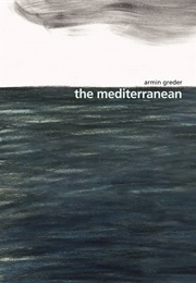 The Mediterranean (Armin Greder)