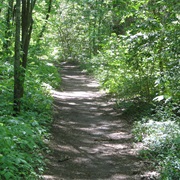 Natchez Trace Trail