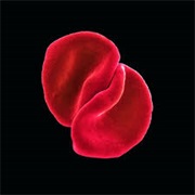 Peter Gabriel- Scratch My Back