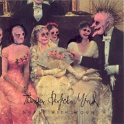 Nurse With Wound - Thunder Perfect Mind