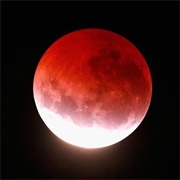 Denzel Curry - 13Lood 1N + 13Lood Out Mixx