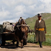 Trek With Mongolian Nomads, Mongolia