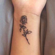 Outline of a Rose