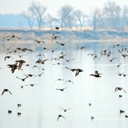Tewaukon National Wildlife Refuge