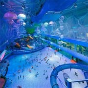 Visit Watercube Waterpark in Beijing