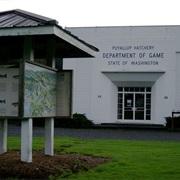 Puyallup Fish Hatchery