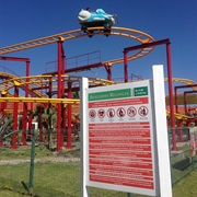 Selva De Ratón - Parque Bicentenario