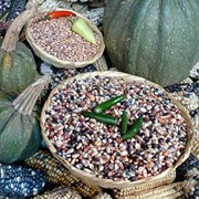 Traditional Mexican Cuisine