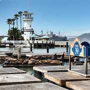 Pier 39 San Francisco, California