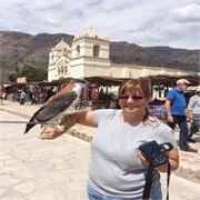 Posing With My New Hawk Friend
