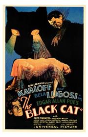 The Black Cat (1934 Film)
