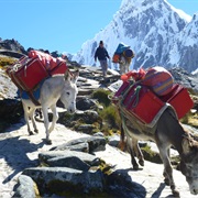 Santa Cruz Trail, Peru